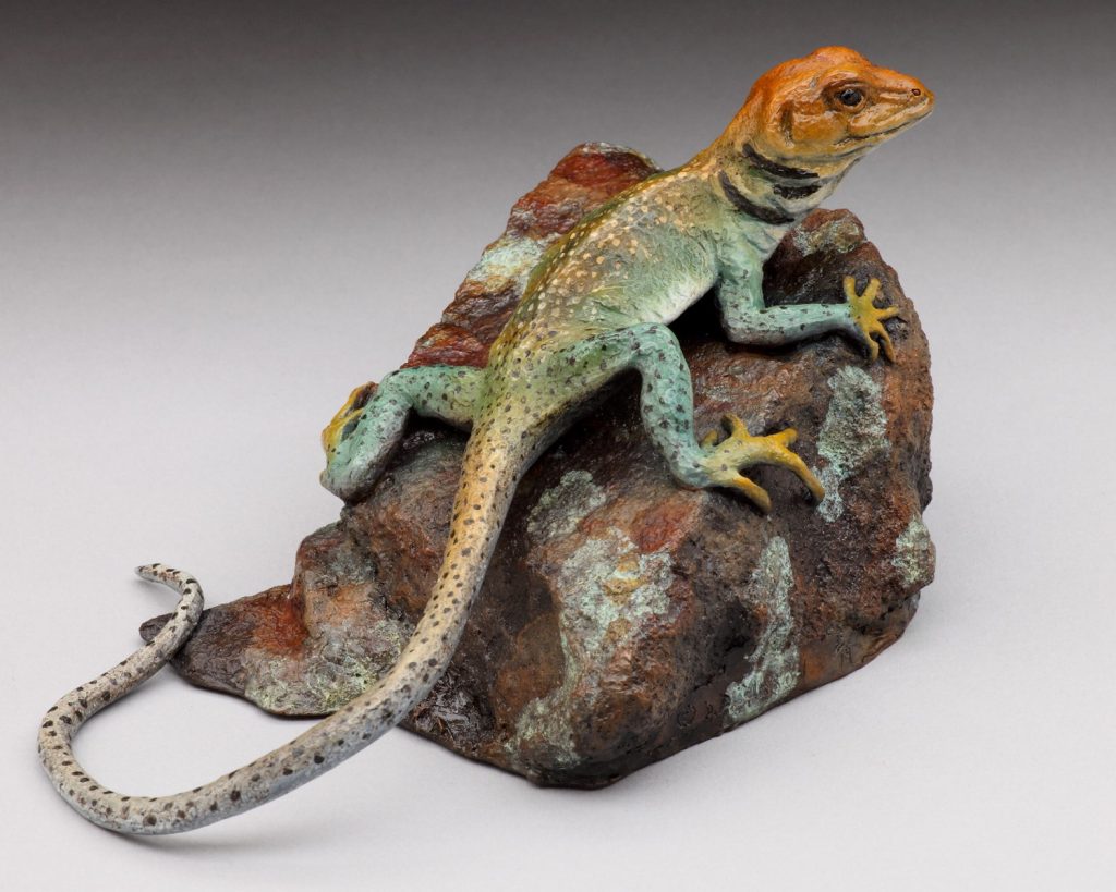 Looking For Lizzie - Diane Mason - Collared Lizard